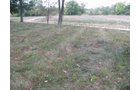 Property photo 31 - 80 Acres Offered in 4 Tracts - Horse Farm